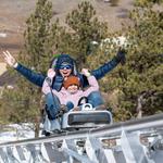 Mustang Mountain Coaster