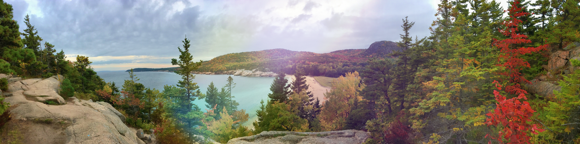 The Wedding Website of Rachel Lyn Sands and Christopher Jarred Kemna