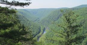 Pennsylvania Grand Canyon