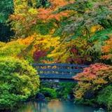 Portland Japanese Garden