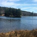 Bass Lake Trail