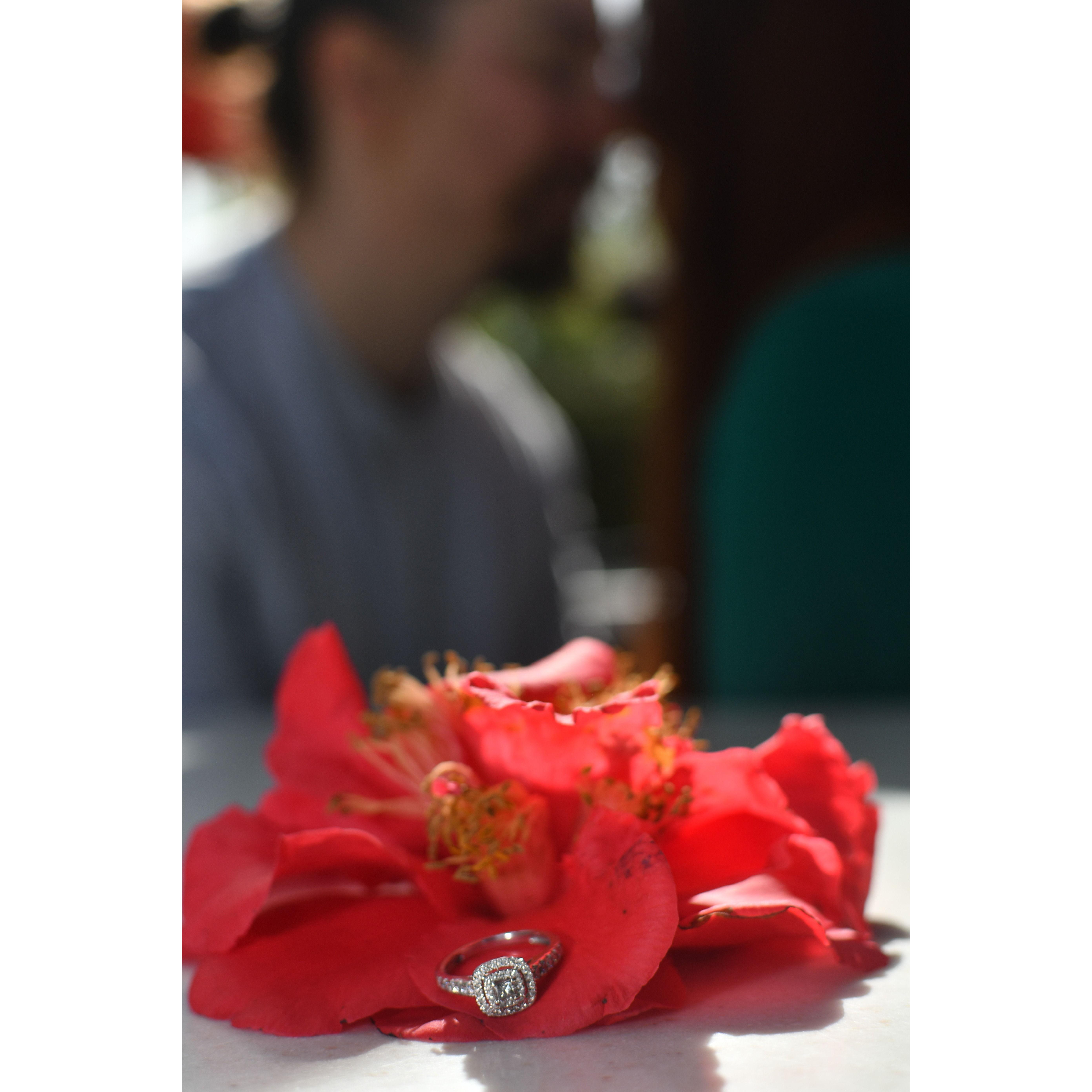 The beautiful ring!