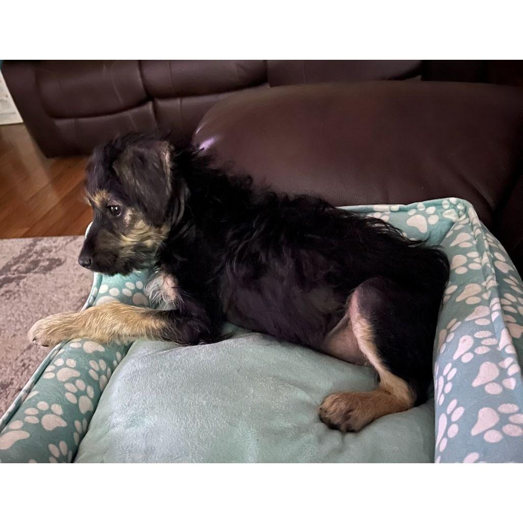 Baby Bella!