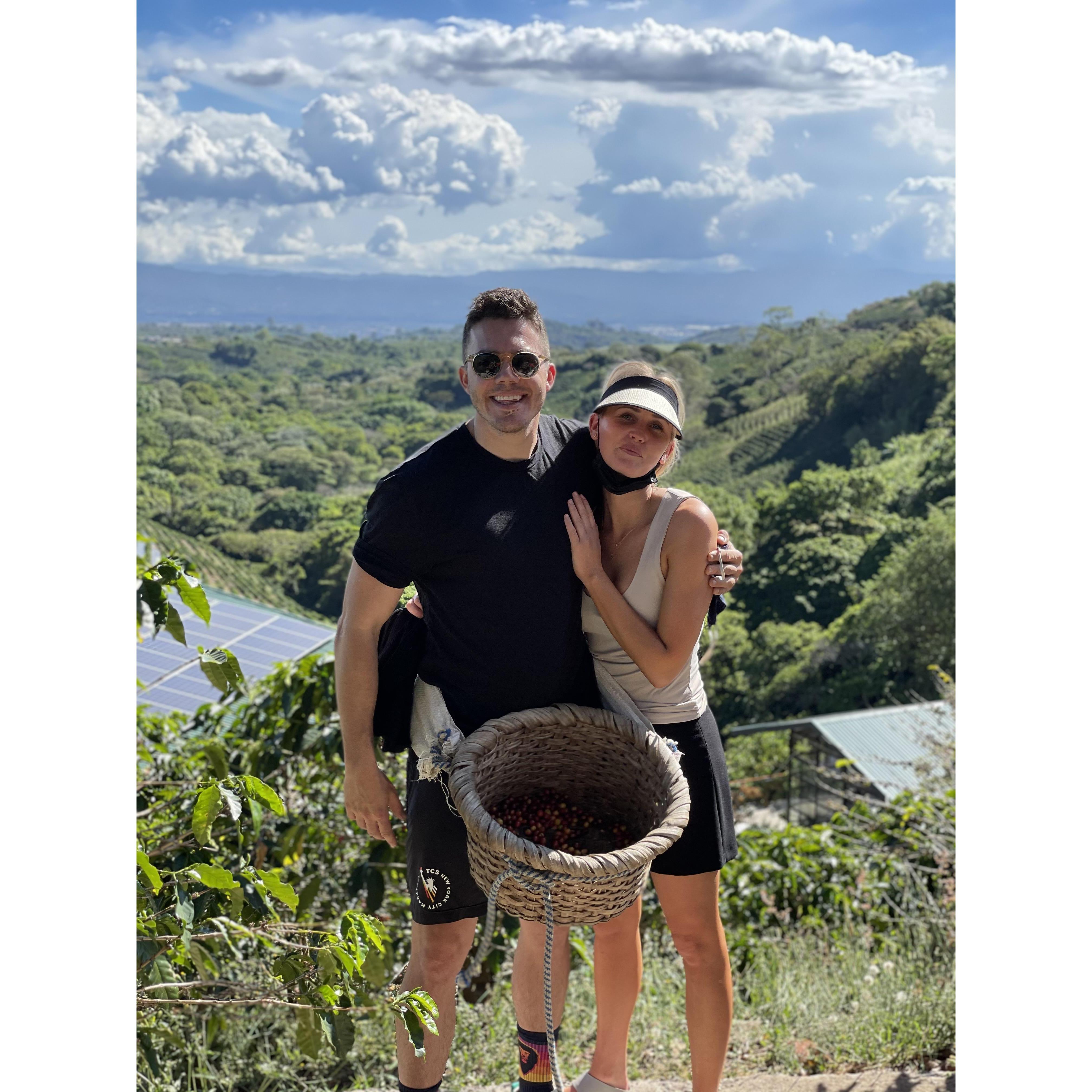 Starbucks Plantation, Costa Rica