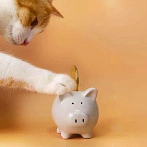 Pet Savings