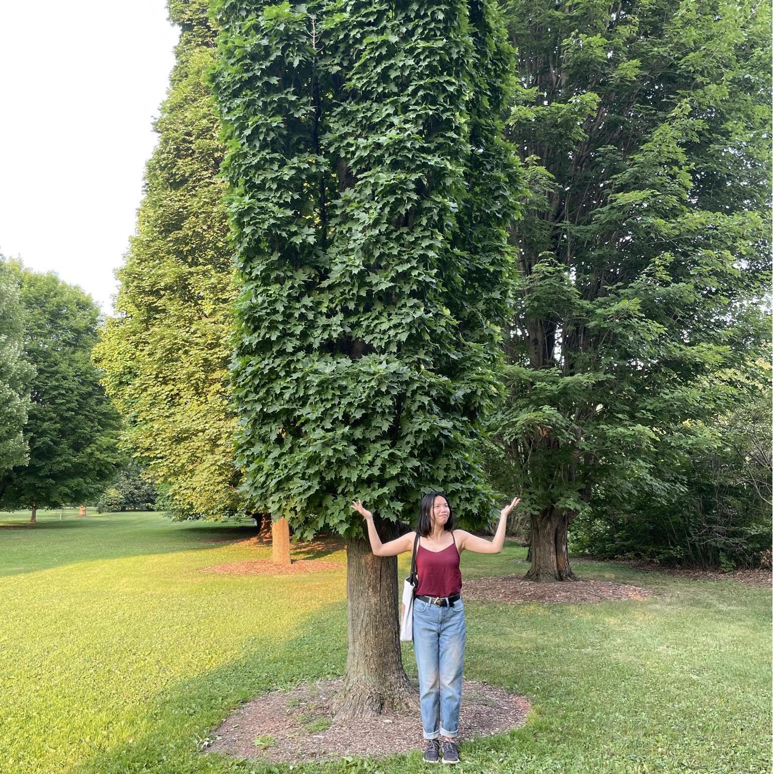 Howard, our favorite tree