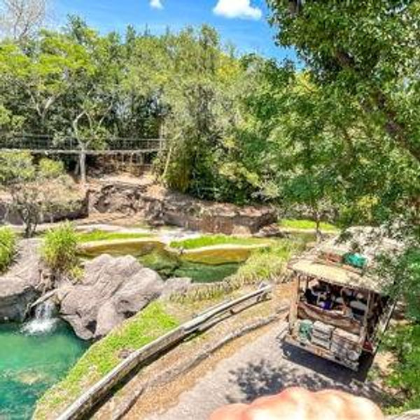 Wild Africa Trek at Animal Kingdom