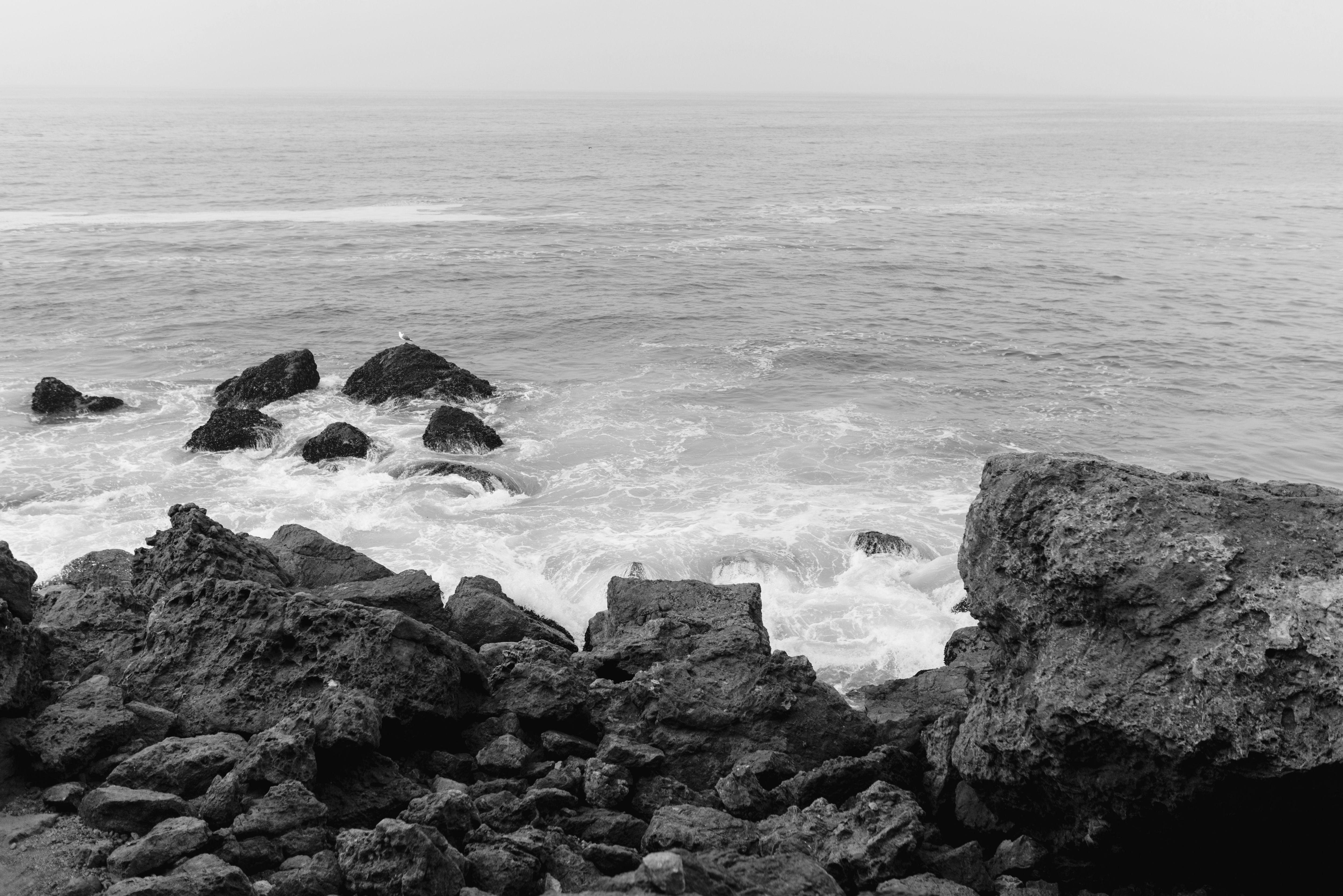 The Wedding Website of Trenton Sands and Jaylyn Dobbins