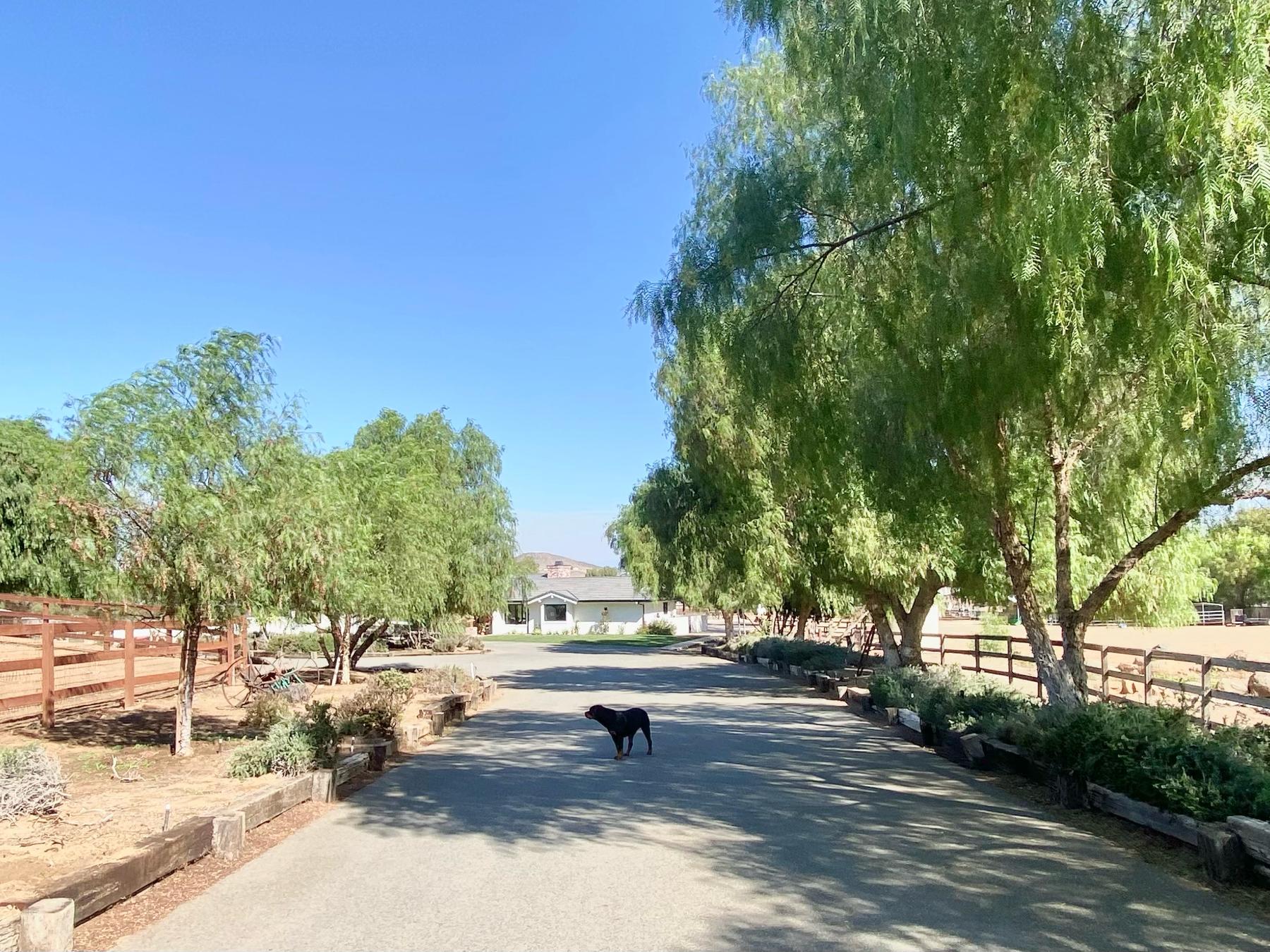 The Wedding Website of Saffron Snethen and Tyler Feniello