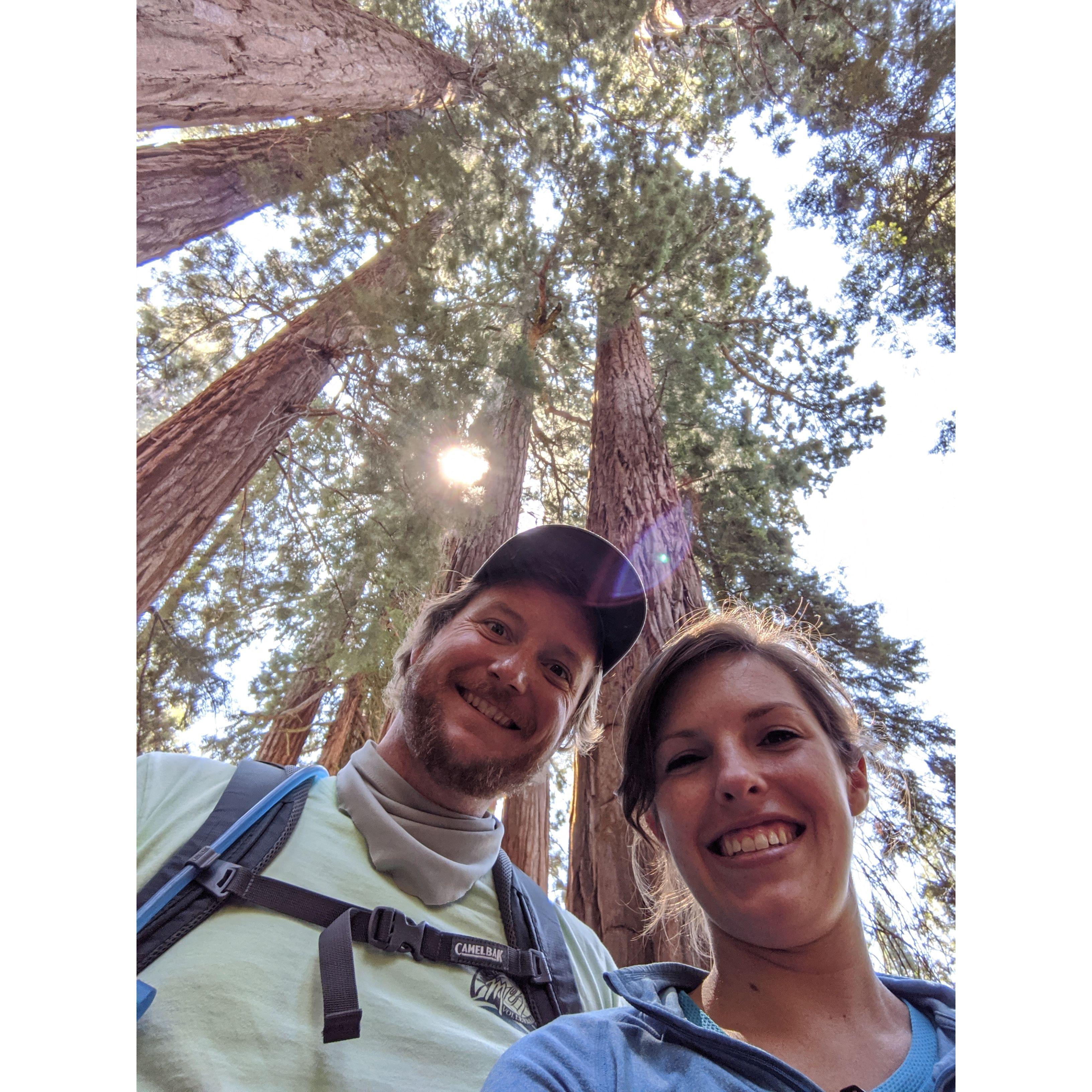 Sequoia National Park
