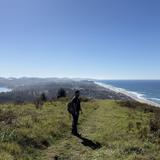 The Knoll