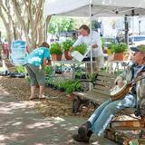 Palafox Market