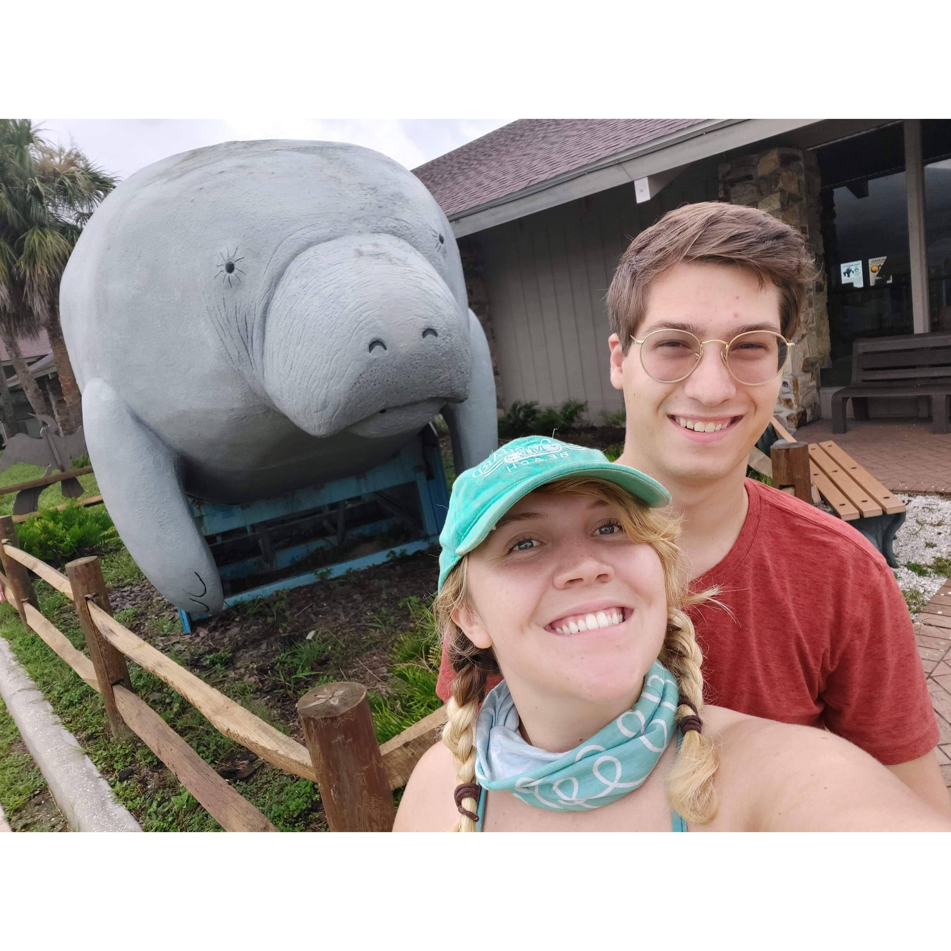 Manatee trip for Miranda!