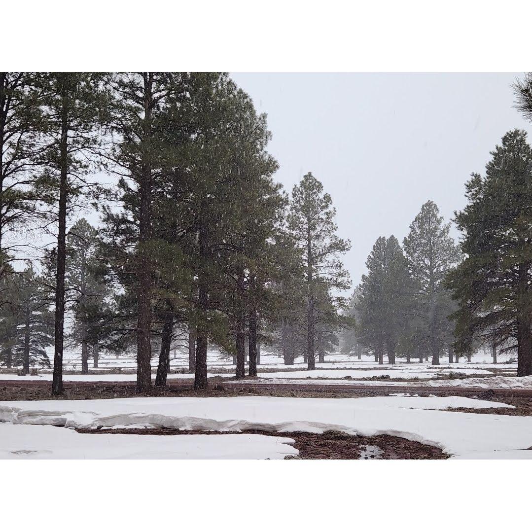 Snow camp