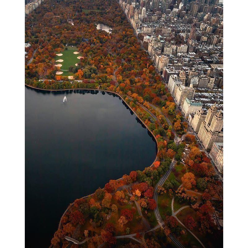 Estos son los colores que esperamos tener de fondo en Central Park el d´ia de nuestra boda. La foto fue tomada el 14 de noviembre del 2020.