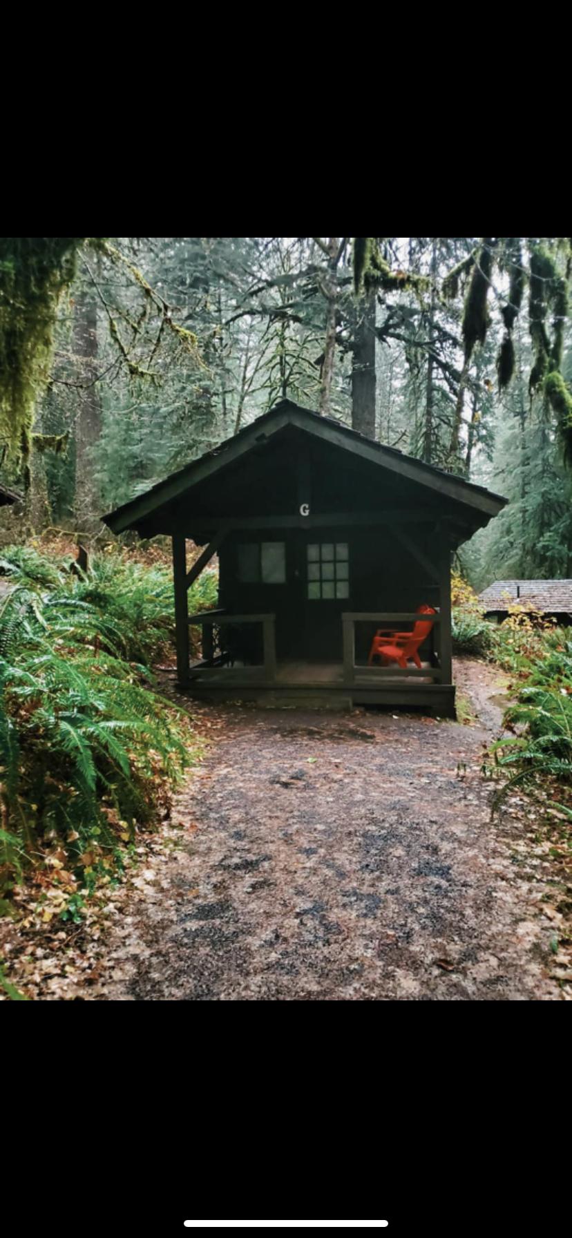 Tiny Cabin