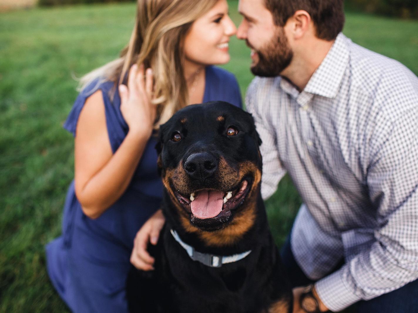 The Wedding Website of Josh Lincoln and Lexi Kryger