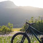 Balance Bike Works
