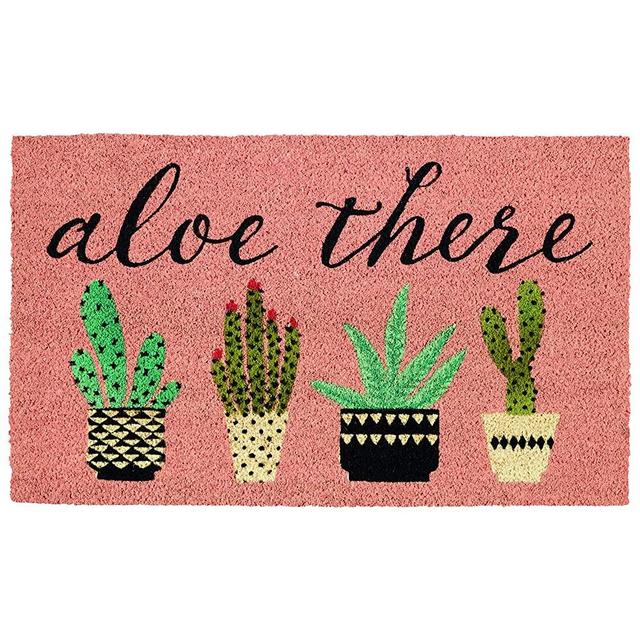 DII Fun Greetings Home Décor Indoor/Outdoor Natural Coir Fiber Doormat, 18x30, Aloe There