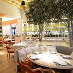 Fig & Olive