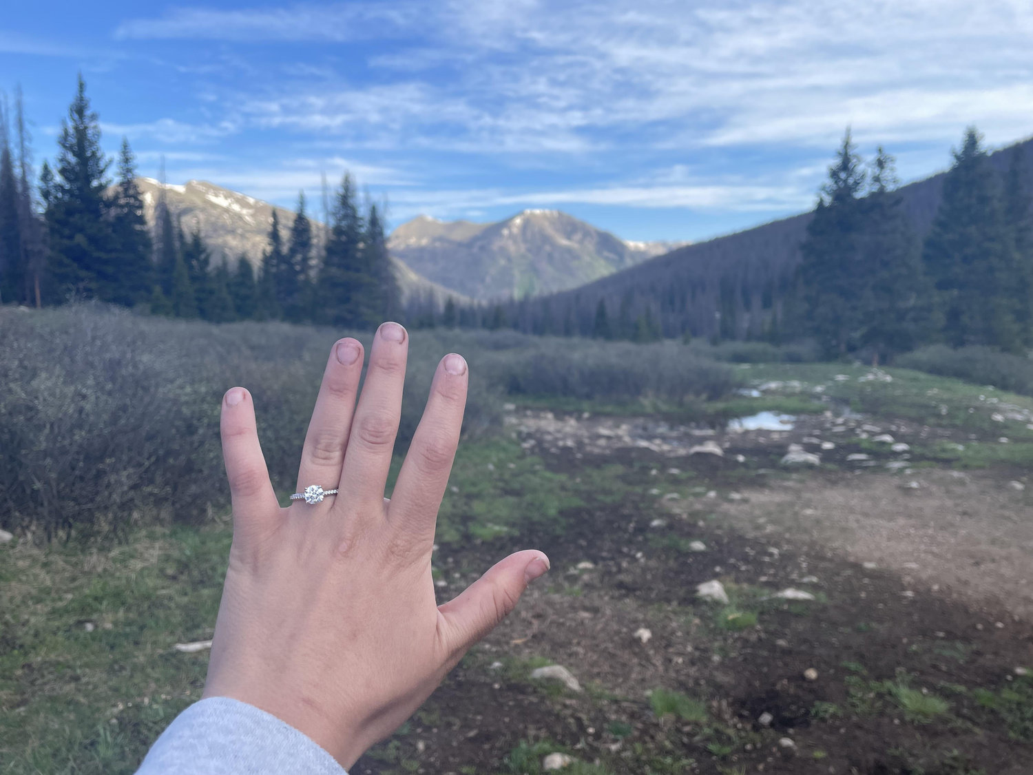 The Wedding Website of Taylor Newmiller and Jack Newmiller