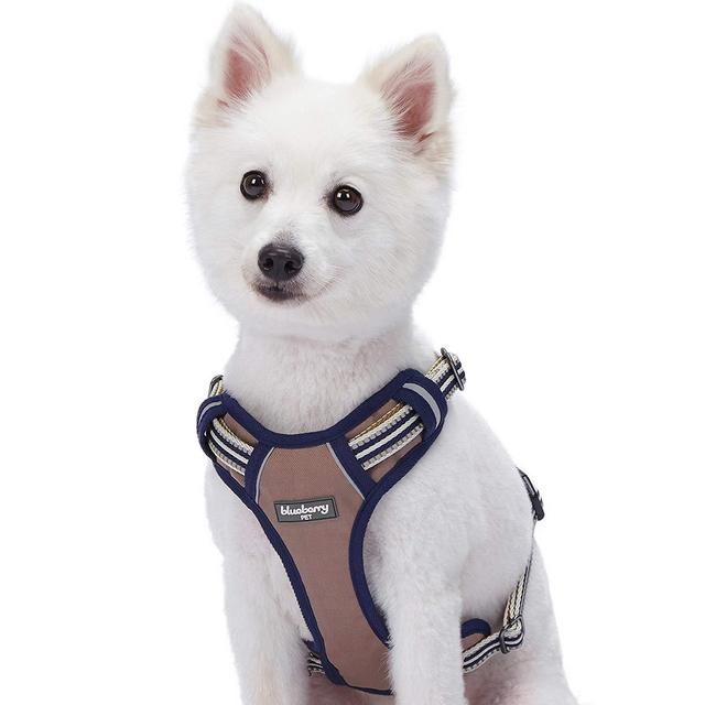 Blueberry Pet 3M Reflective Multi-Colored Stripe Dog Harness, Step in or Vest Harness, Matching Collar & Leash Available Separately