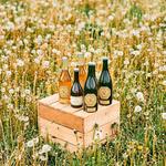 Seminary Hill Orchard & Cidery