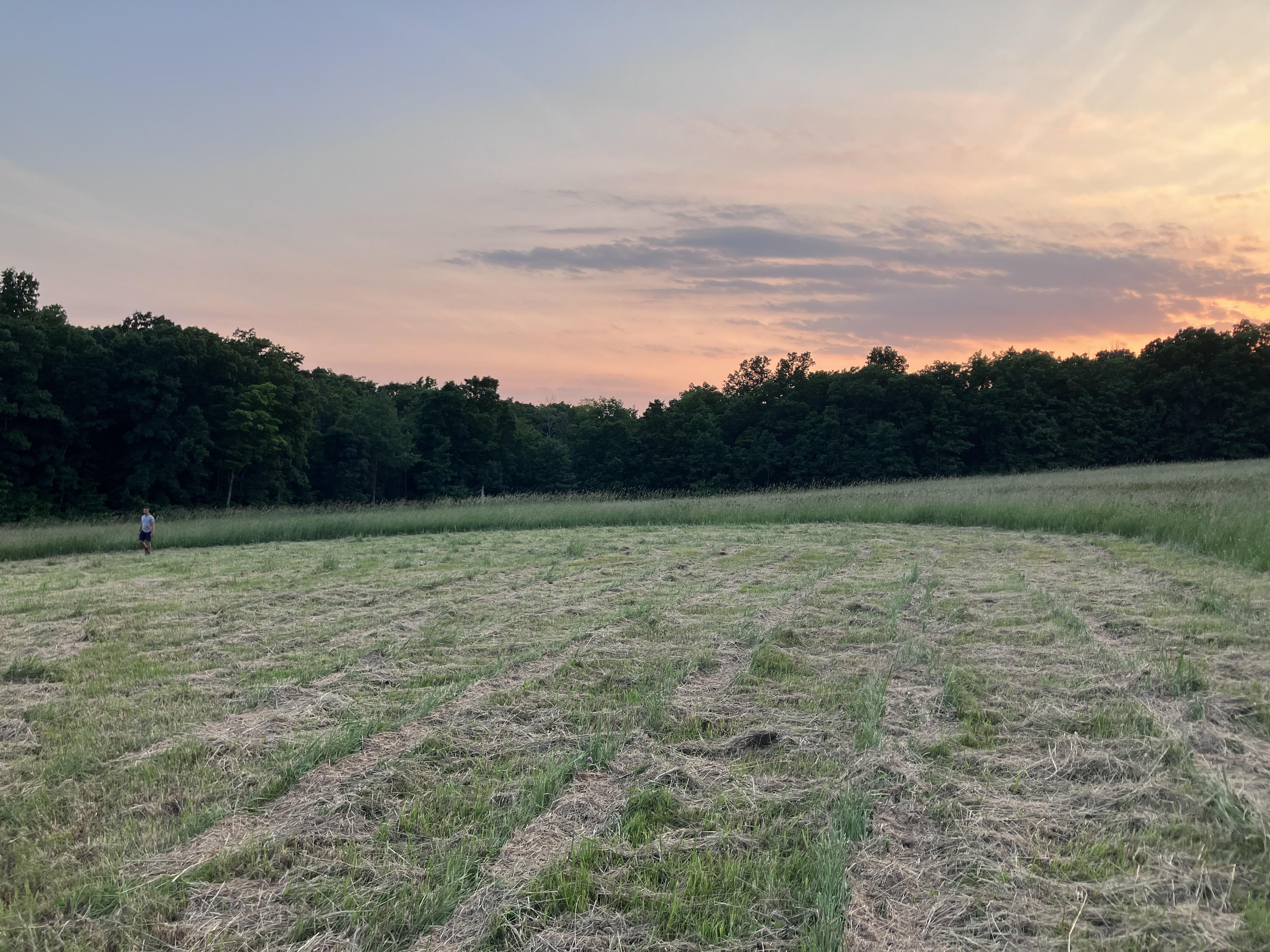 The Wedding Website of Stella Metzner and Rob Garrity