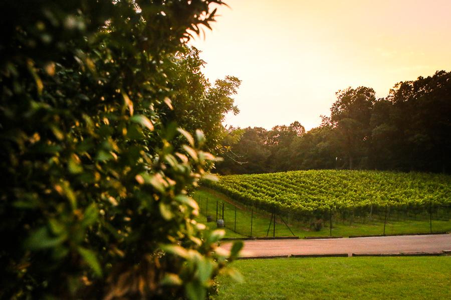 The Wedding Website of Sarah Bellman and Kevin Ristway