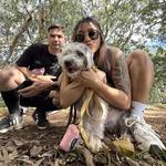 ʻAiea Loop Trailhead