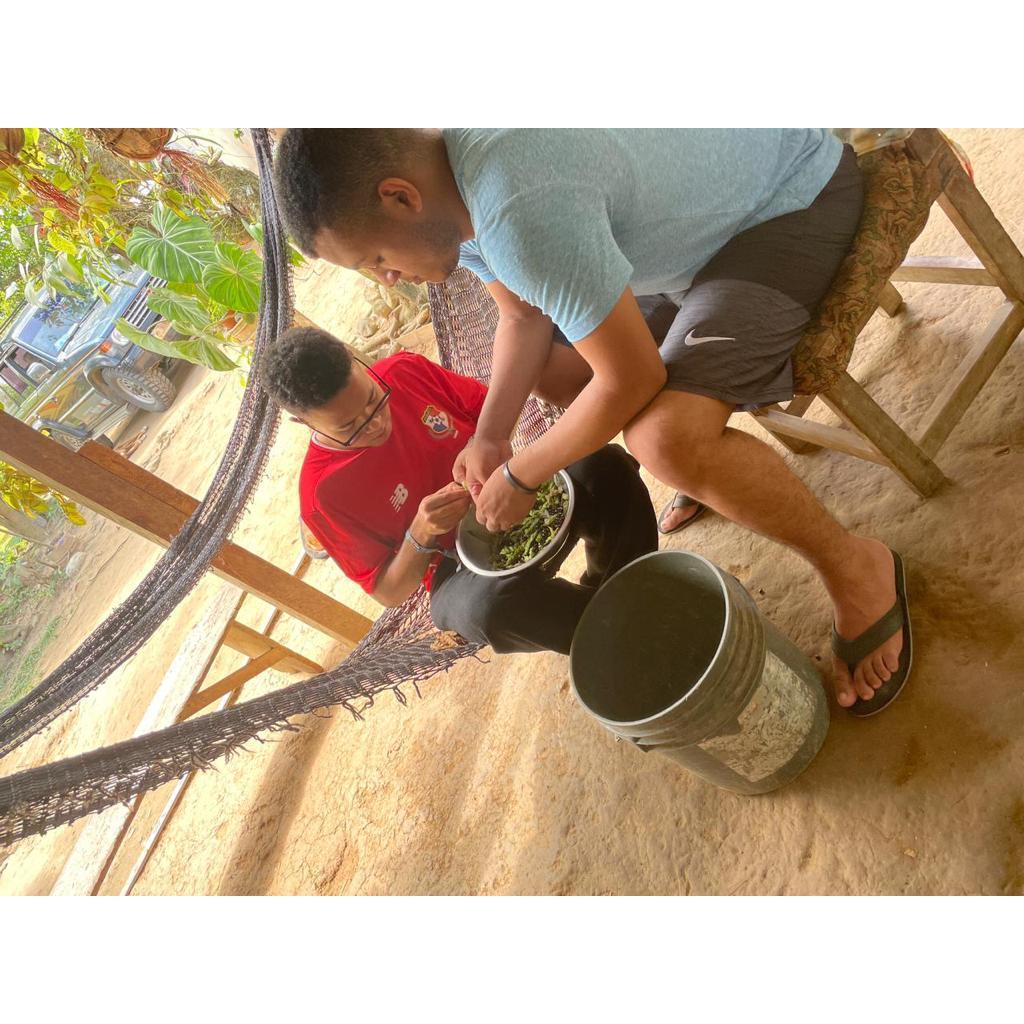 I was press ganged (by Xenia) in Mamoni to help collect and shell guandu. However, it turns out that I gained a skill and I enjoyed the experience so many many Thanks!! :)