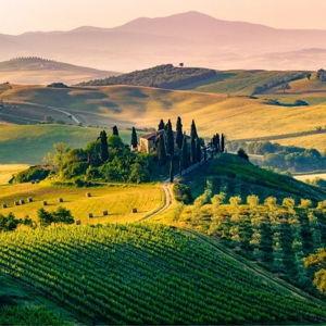 Tuscany Wine Tour