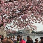 National Mall