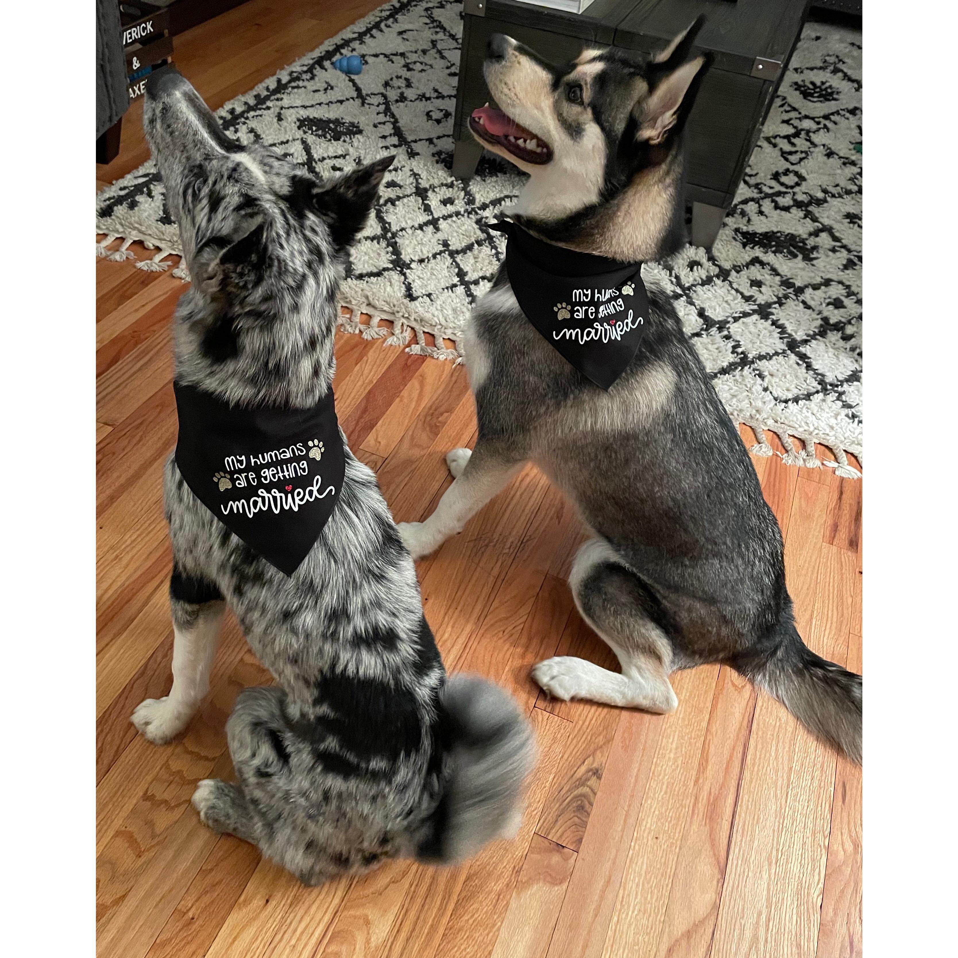 The boys are very excited Mom and Dad are getting married!