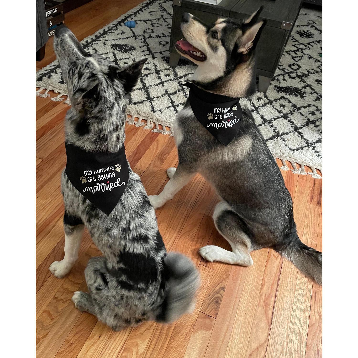 The boys are very excited Mom and Dad are getting married!