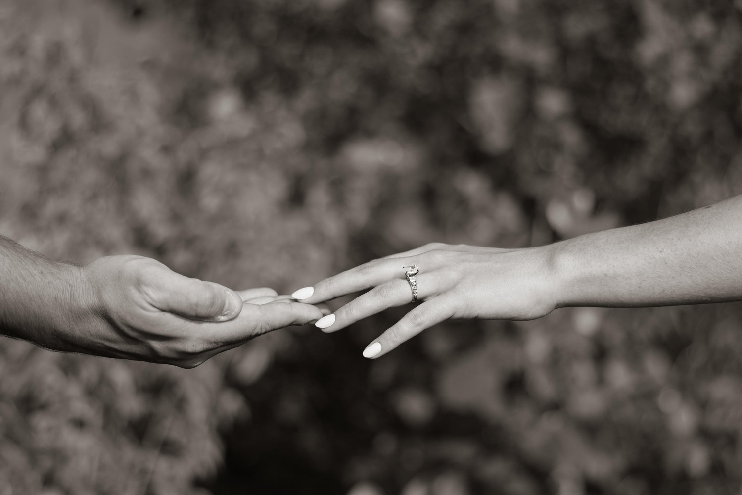 The Wedding Website of Megan Muur and Ian Boline