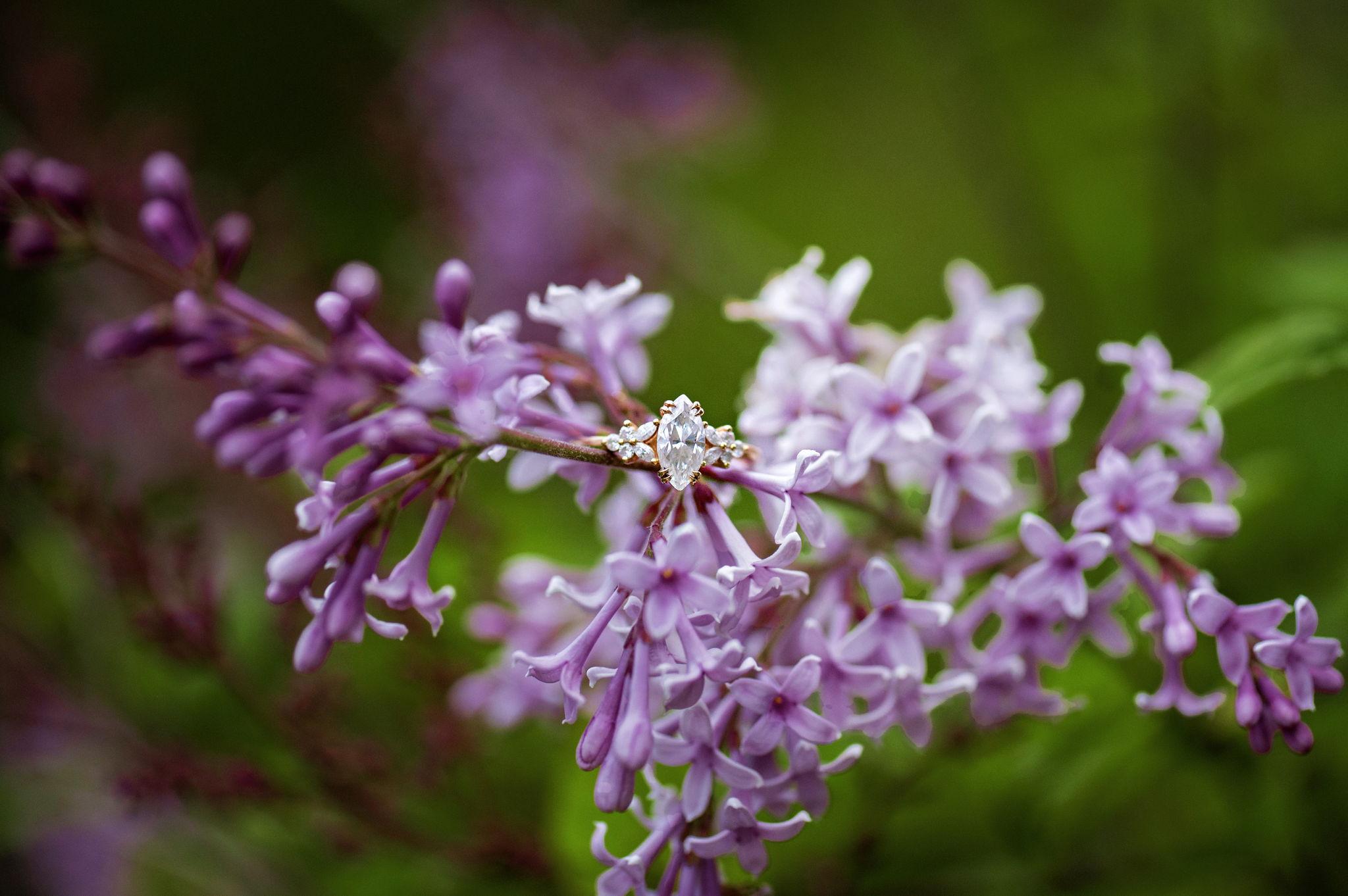 The Wedding Website of Maddalynn Bland and Daniel Bernhardt