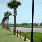 Pitt Street Bridge