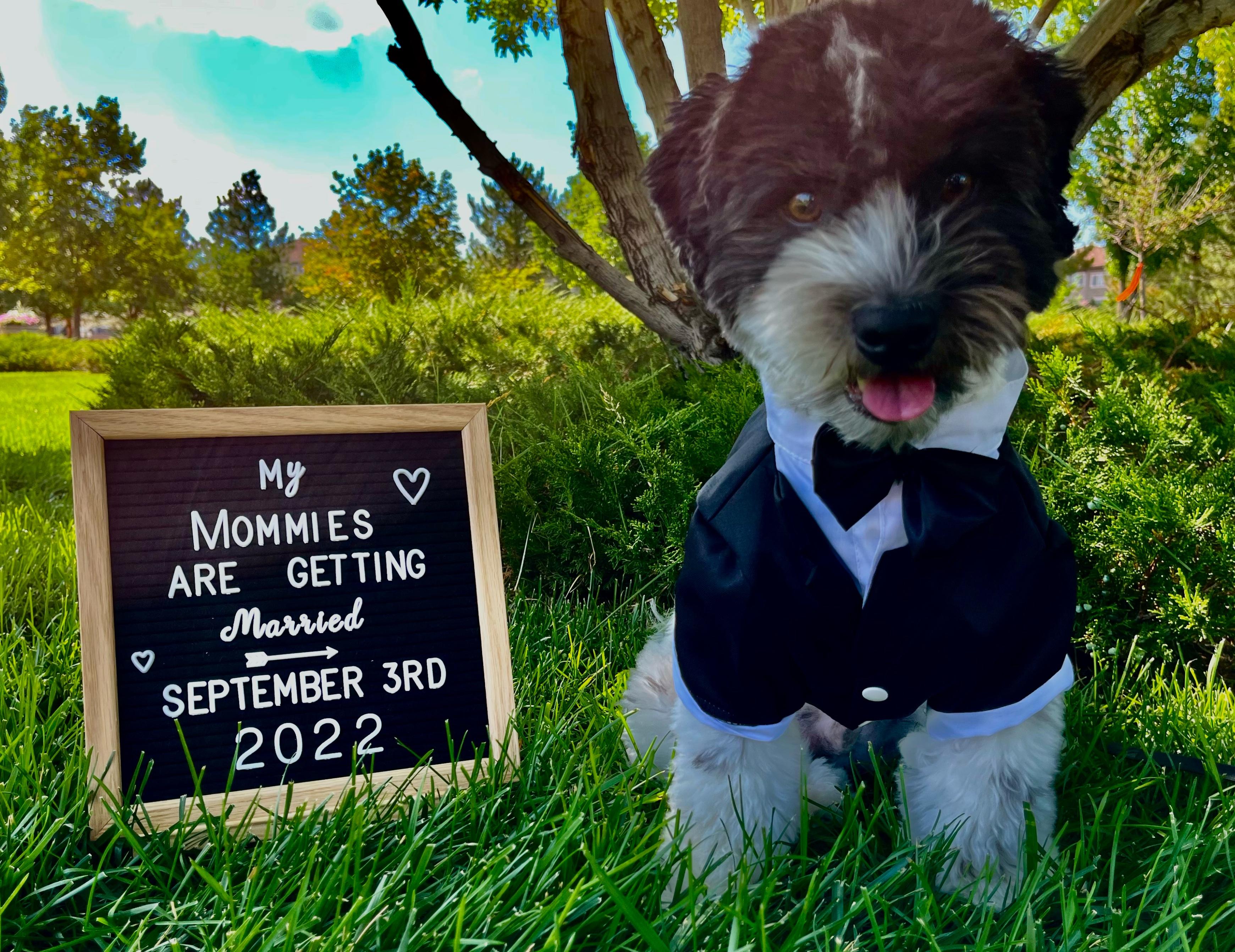 The Wedding Website of Maureen Flynn and Emmie Hebert