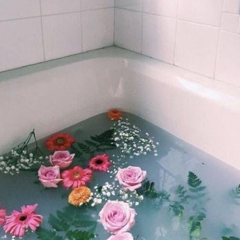 Bathtub Fund