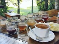 Ubud Me Sari Luwak Coffee Agrotourism