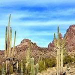 Lost Goldmine Trailhead