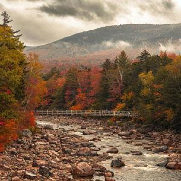 Scenic Drive Gas Fund