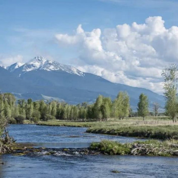 Fly fishing in Wyoming