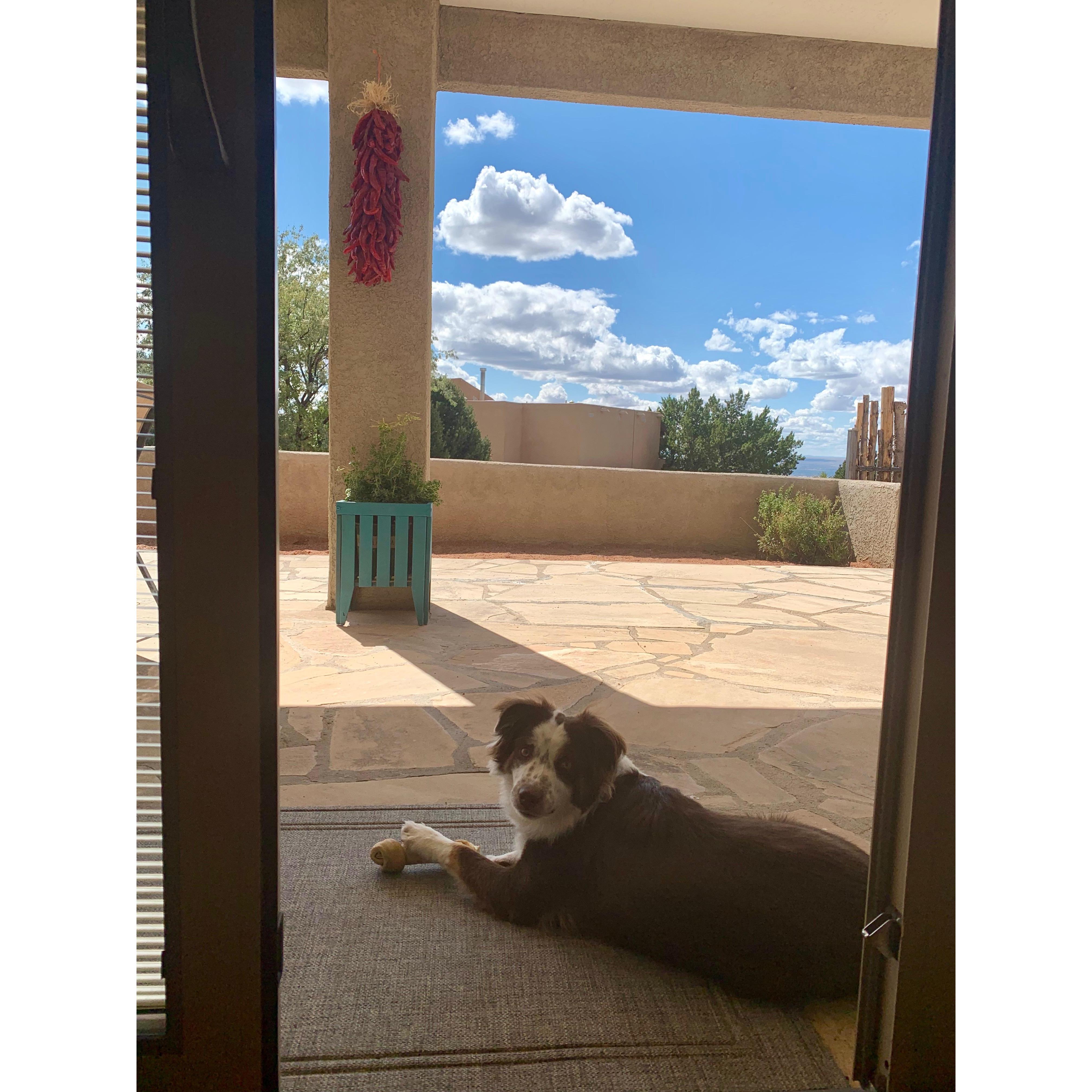Home 2019