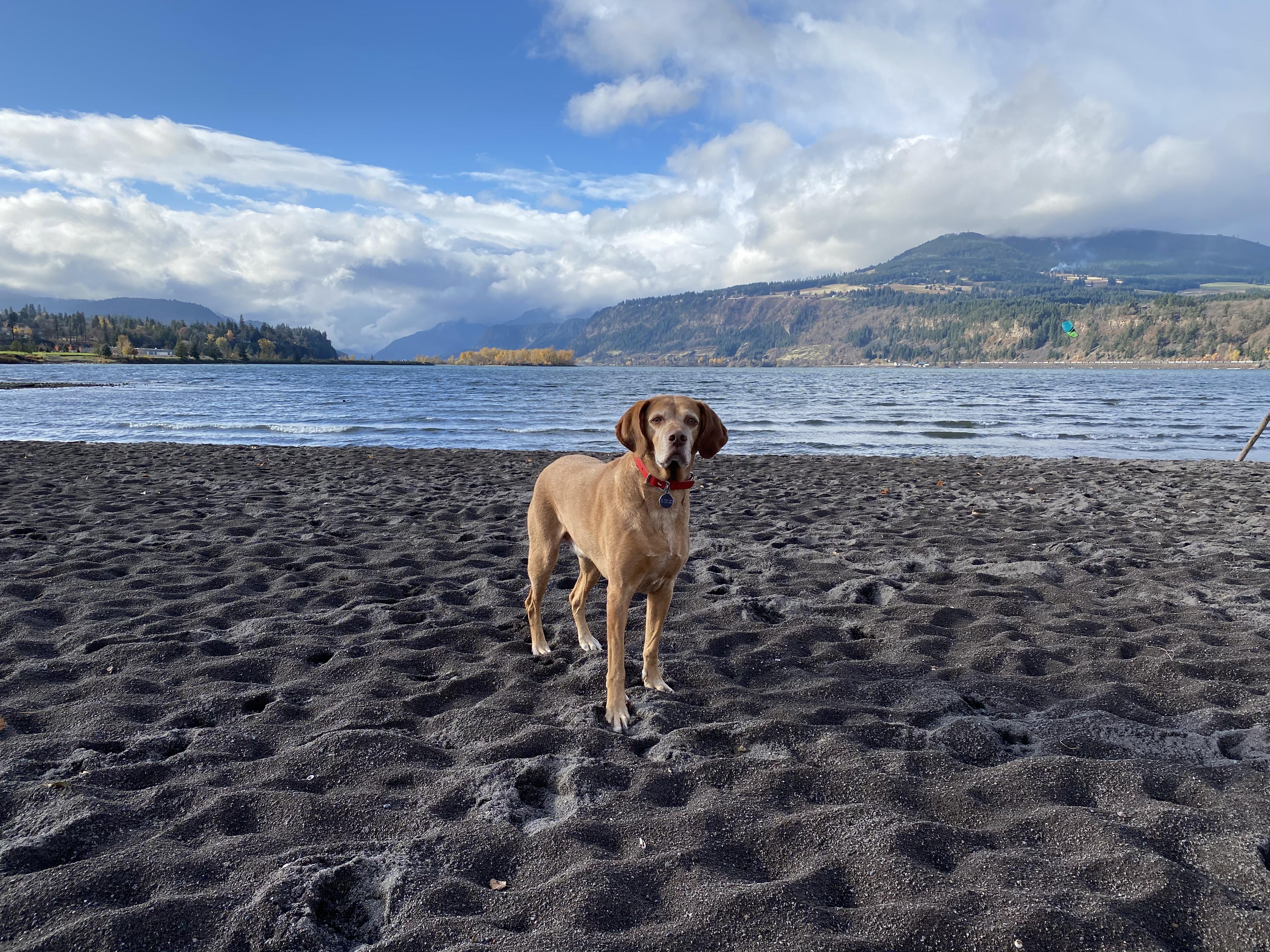 The Wedding Website of Morgan Makowski and Kyle Griffith