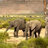aquila private game reserve