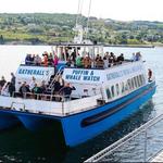 Gatherall's Puffin & Whale Watch