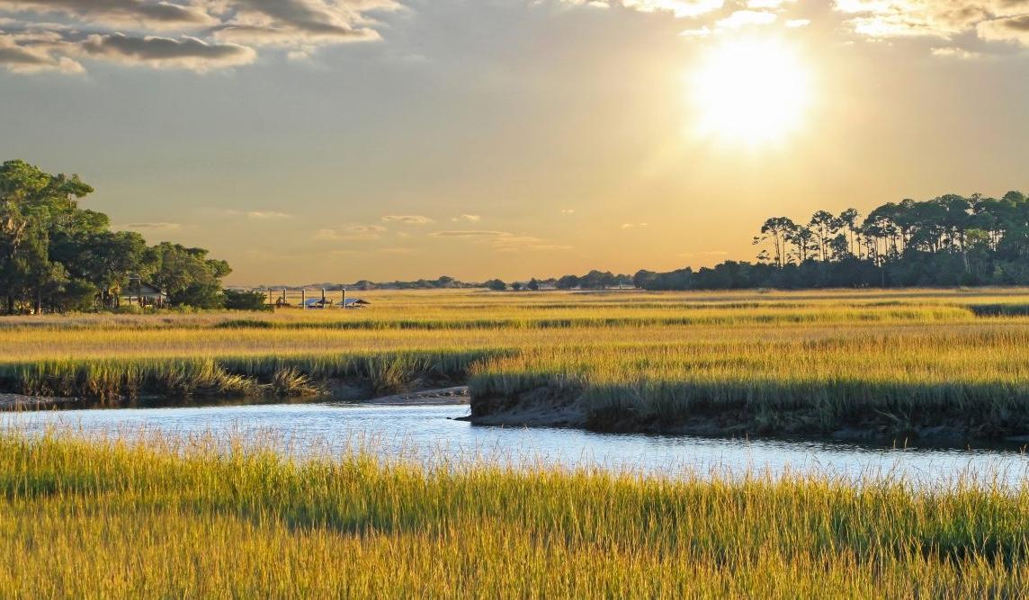 The Wedding Website of Bailey Morey and Jared Tomasso