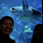 New England Aquarium